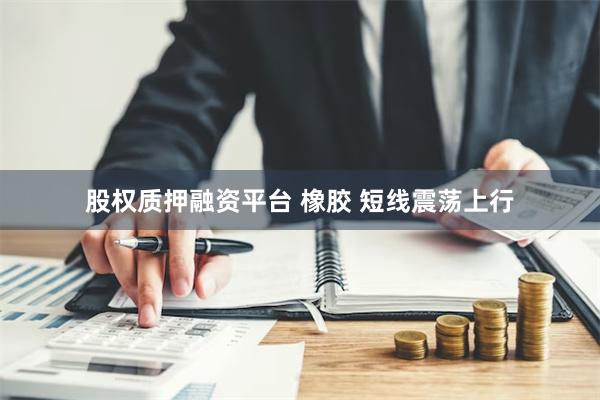 股权质押融资平台 橡胶 短线震荡上行