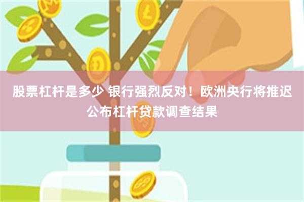 股票杠杆是多少 银行强烈反对！欧洲央行将推迟公布杠杆贷款