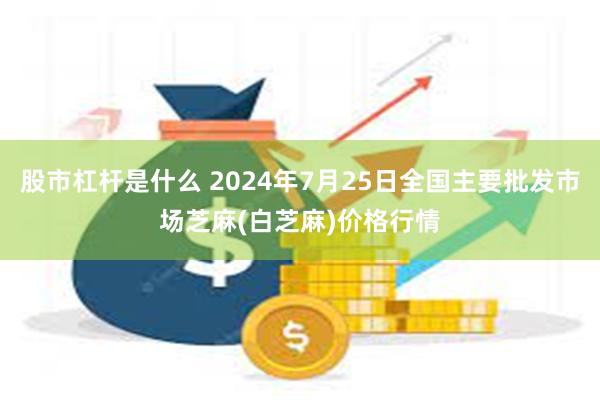 股市杠杆是什么 2024年7月25日全国主要批发市场芝麻