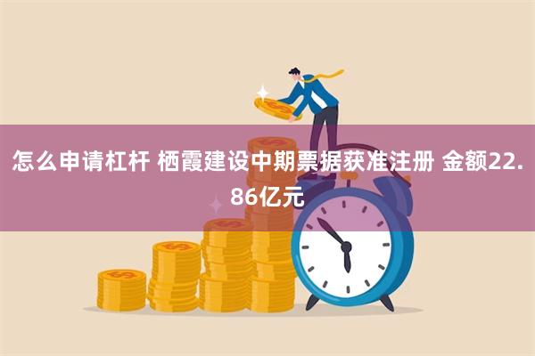 怎么申请杠杆 栖霞建设中期票据获准注册 金额22.86亿元