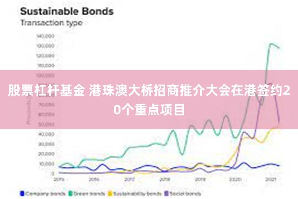 股票杠杆基金 港珠澳大桥招商推介大会在港签约20个重点项目