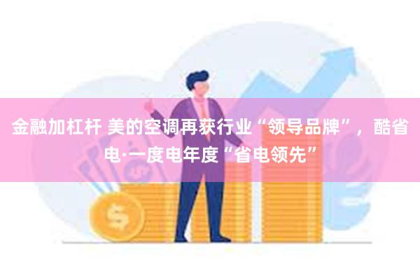 金融加杠杆 美的空调再获行业“领导品牌”，酷省电·一度电年度“省电领先”