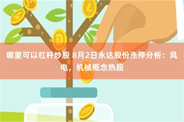 哪里可以杠杆炒股 8月2日永达股份涨停分析：风电，机械概念热股