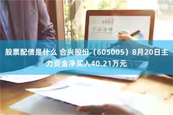 股票配债是什么 合兴股份（605005）8月20日主力资金净买入40.21万元