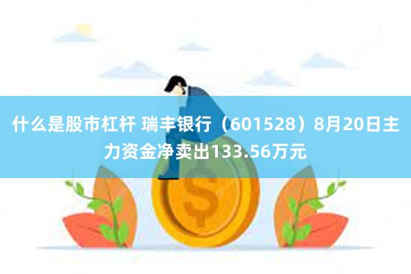 什么是股市杠杆 瑞丰银行（601528）8月20日主力资金净卖出133.56万元