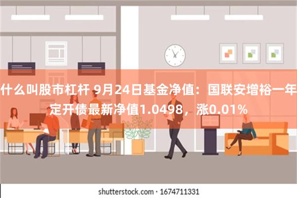 什么叫股市杠杆 9月24日基金净值：国联安增裕一年定开债