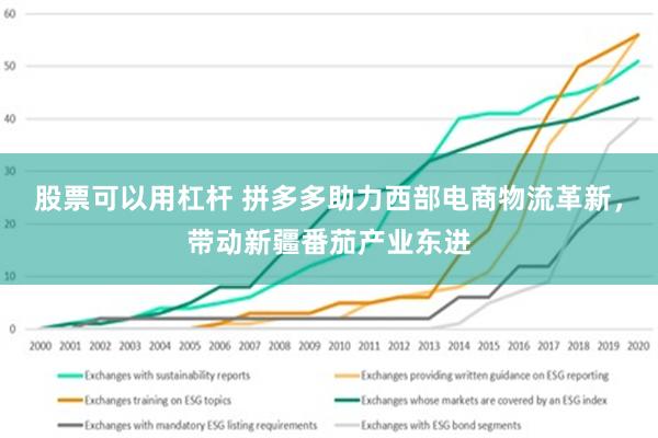 股票可以用杠杆 拼多多助力西部电商物流革新，带动新疆番茄产业东进