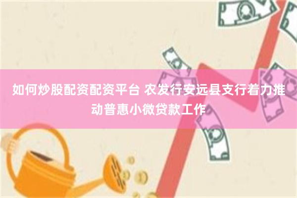 如何炒股配资配资平台 农发行安远县支行着力推动普惠小微贷