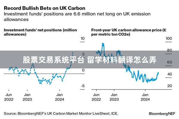 股票交易系统平台 留学材料翻译怎么弄