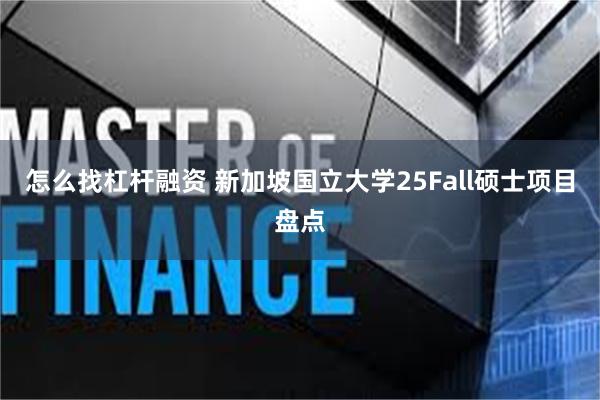 怎么找杠杆融资 新加坡国立大学25Fall硕士项目盘点