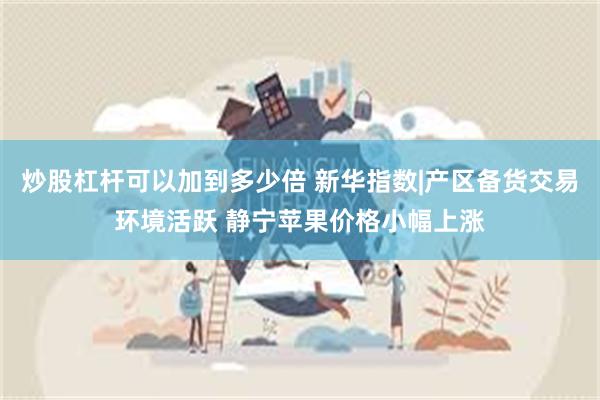 炒股杠杆可以加到多少倍 新华指数|产区备货交易环境活跃 静宁苹果价格小幅上涨