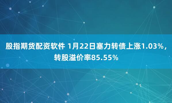 股指期货配资软件 1月22日塞力转债上涨1.03%，转股溢价率85.55%