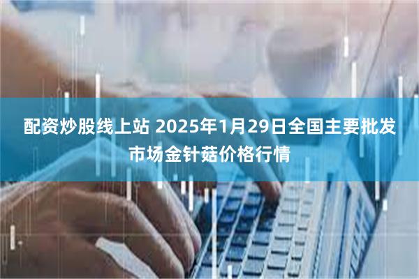 配资炒股线上站 2025年1月29日全国主要批发市场金针菇价格行情