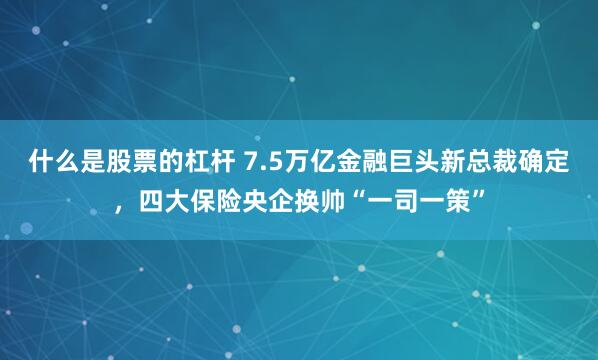 什么是股票的杠杆 7.5万亿金融巨头新总裁确定，四大保险央企换帅“一司一策”