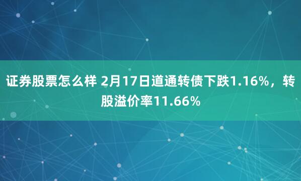 证券股票怎么样 2月17日道通转债下跌1.16%，转股溢价率11.66%