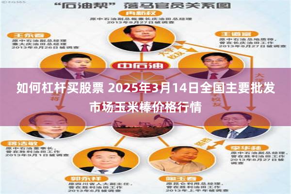 如何杠杆买股票 2025年3月14日全国主要批发市场玉米棒价格行情