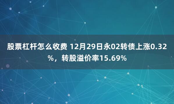 股票杠杆怎么收费 12月29日永02转债上涨0.32%，转股溢价率15.69%